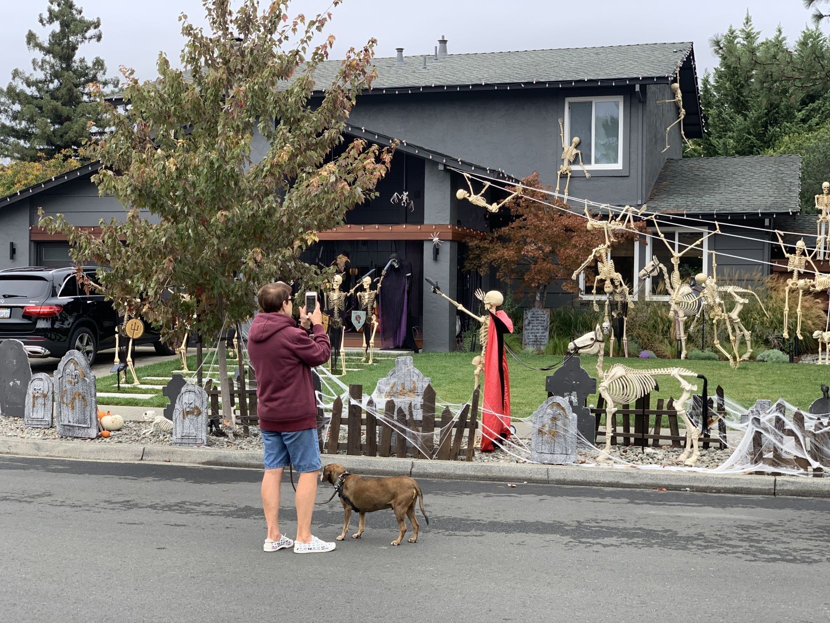 Skeletons take over Napa house for Halloween